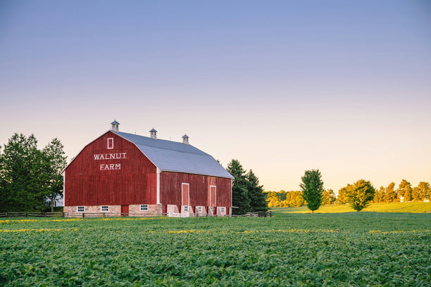 Red barn labeled 'Walnut Farm' in a field with trees and clear sky