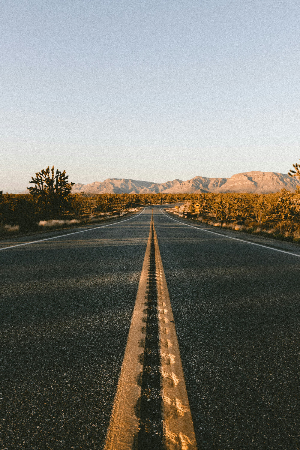 Road leading into desert with mountains ahead