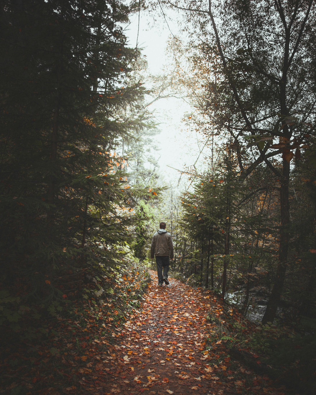 Man with rain jacket walking along a leaves-covered forest trail.