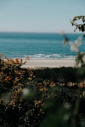 Coffee, Canyons & Coastlines