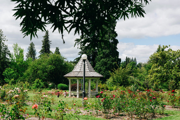 A gazebo in a garden park.