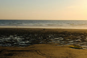 The Shore Explorer