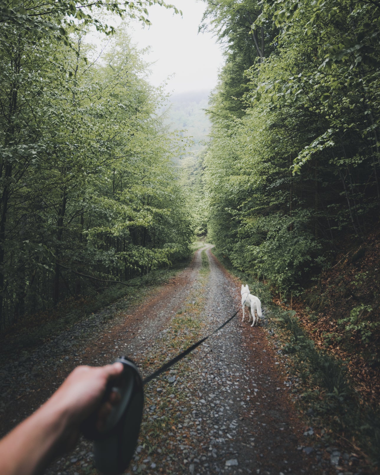 Haunts, Hikes & History
