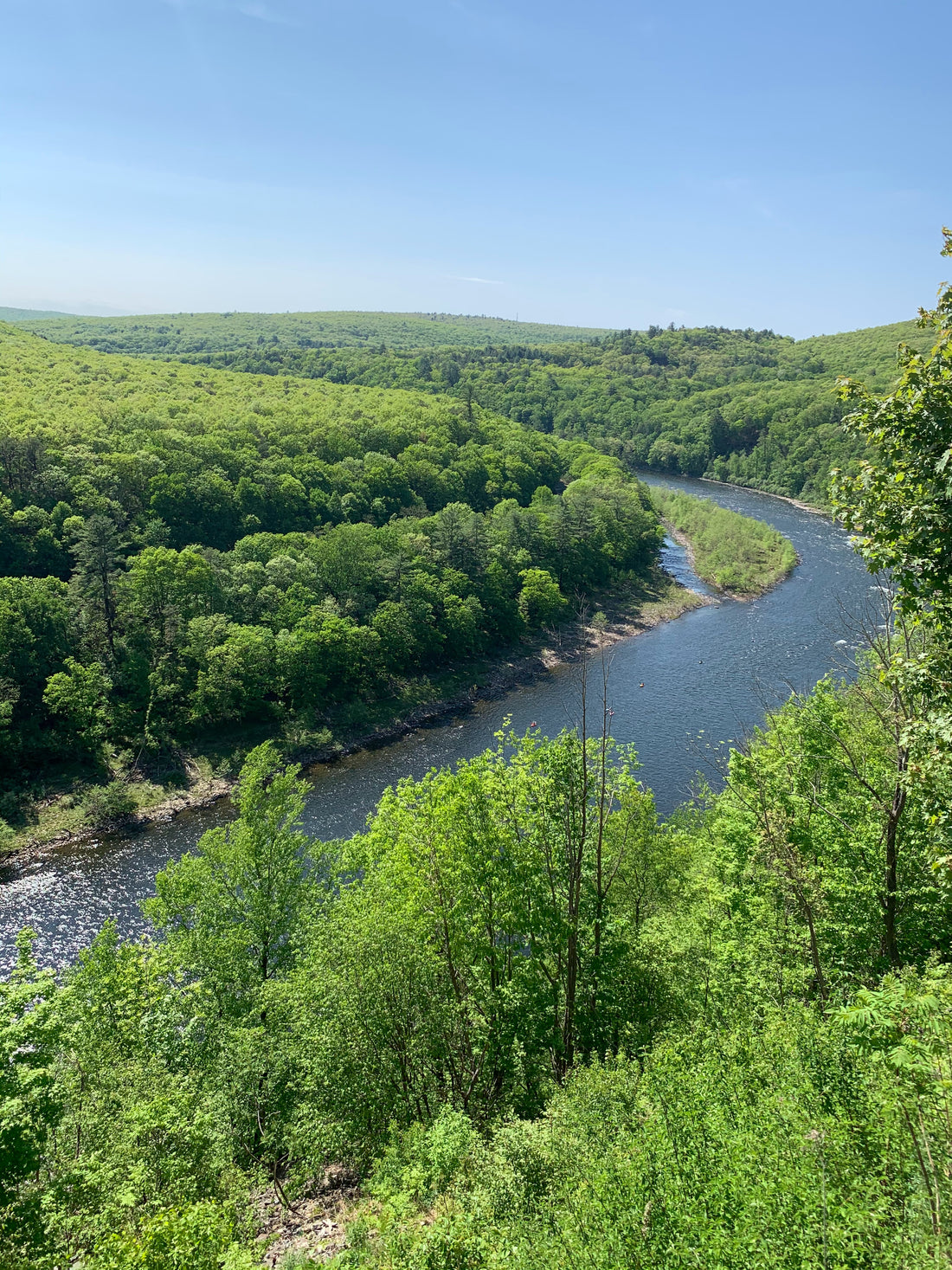 River running through forest.