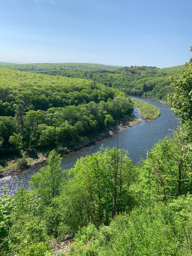 Along the River