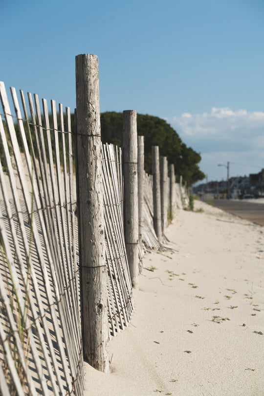 The Shore Explorer