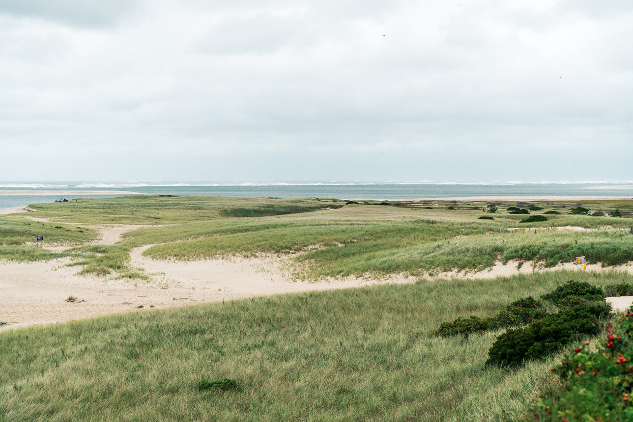 Escape to the Cape