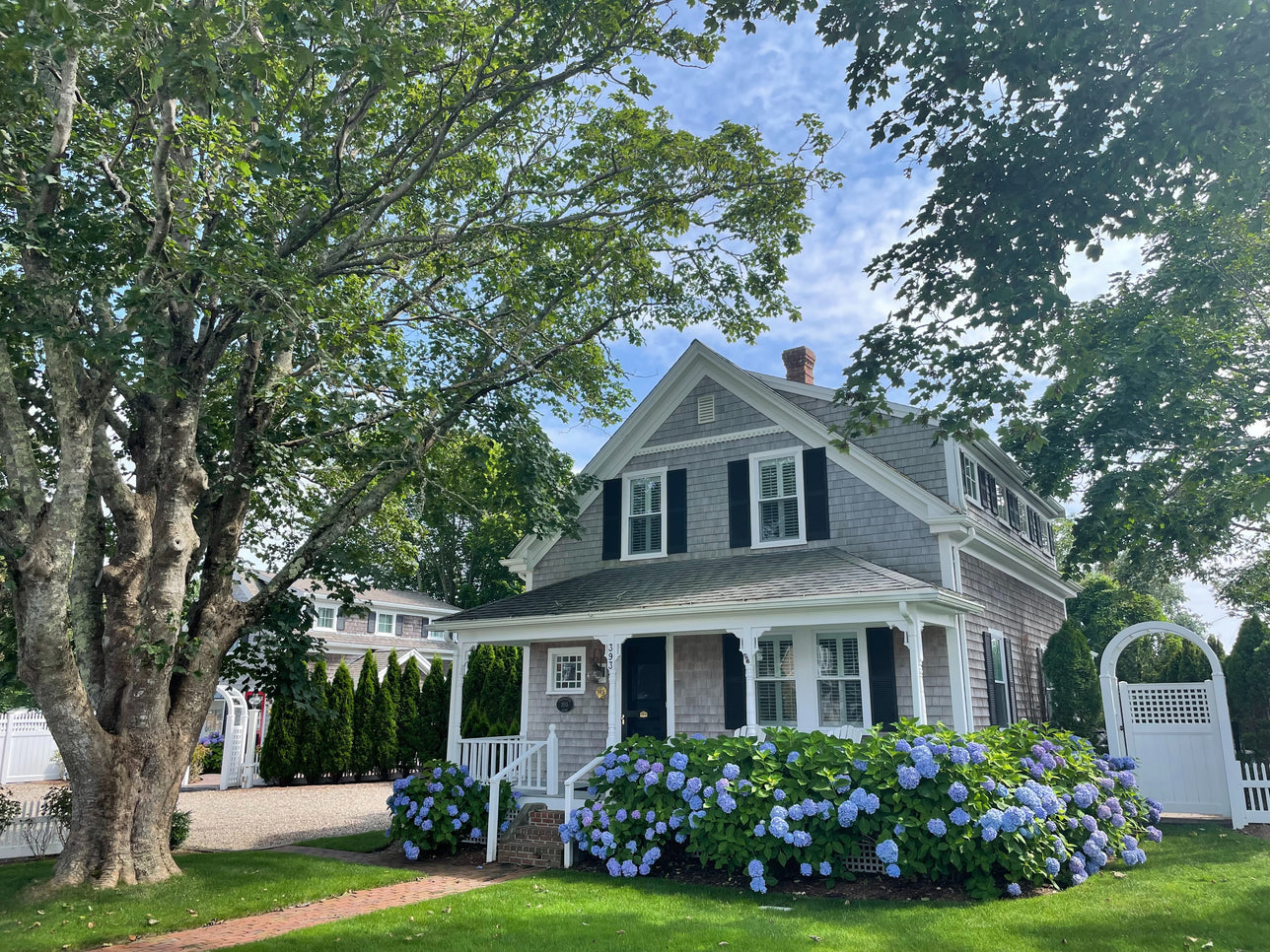 Escape to the Cape