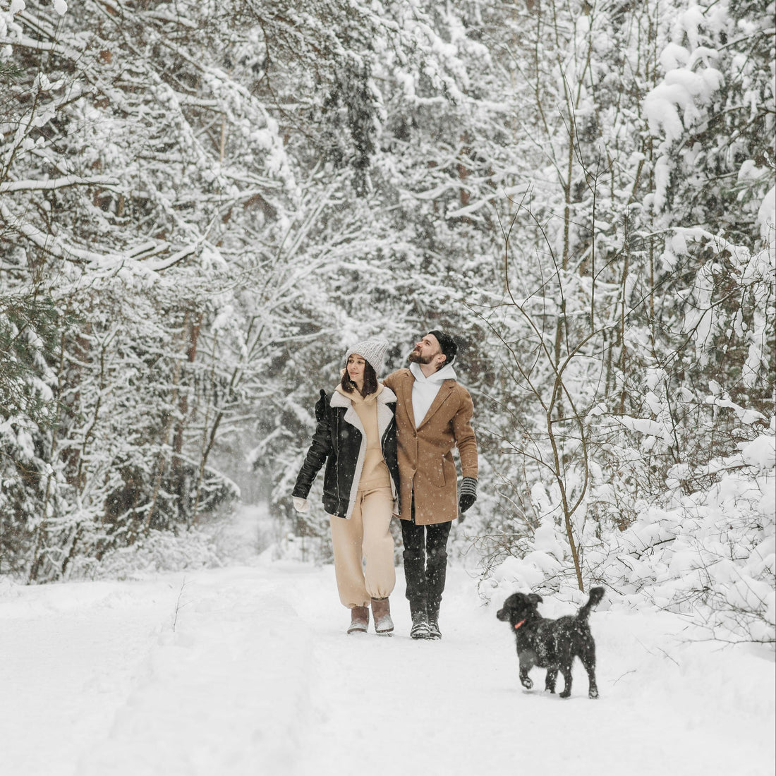 Two people walking a dog through a snowy forest
