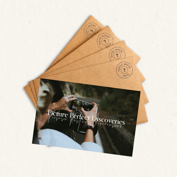 Picture Perfect Discoveries