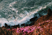 Down by the Bay