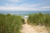A sandy trail leading to the water