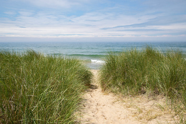 A sandy trail leading to the water