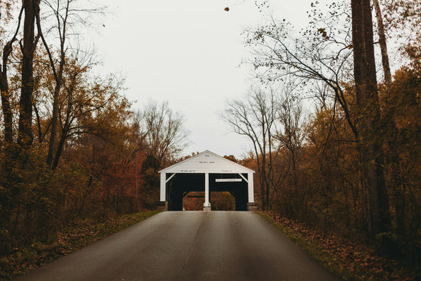 An old covered bridge at the end of a tree-lined road.