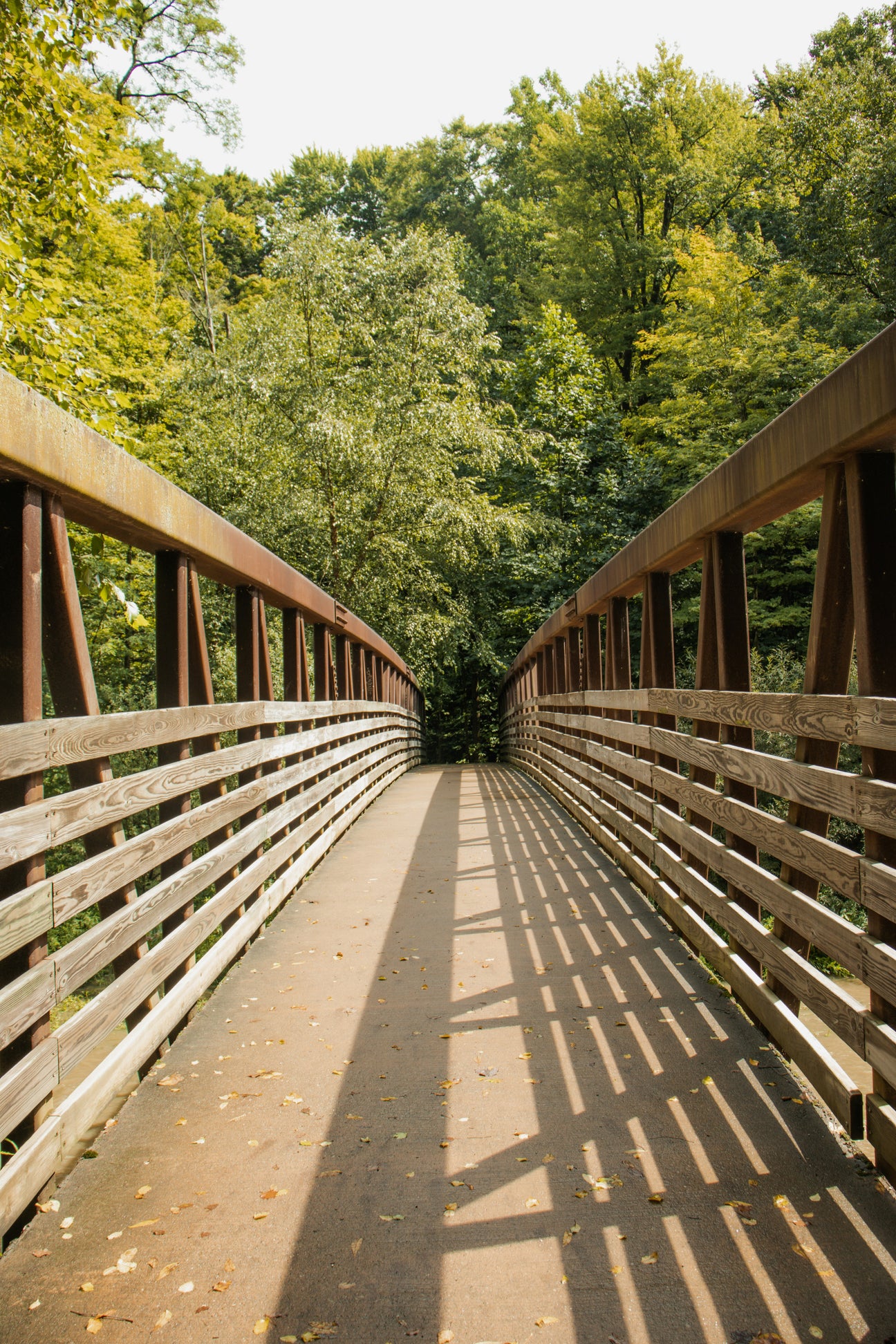 A Riverside Ramble