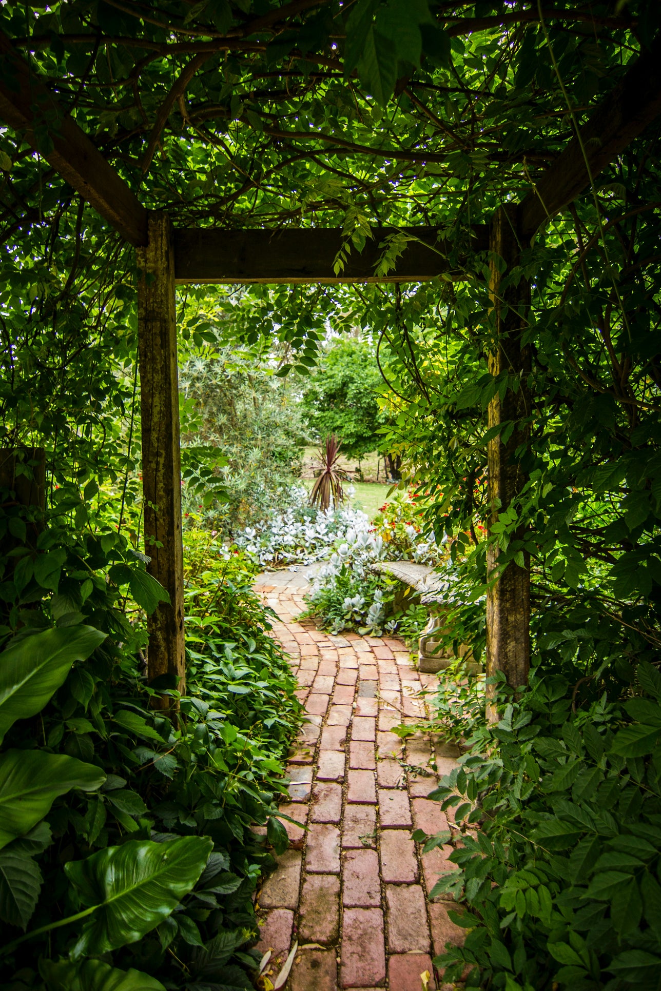 Wonder & Whimsy