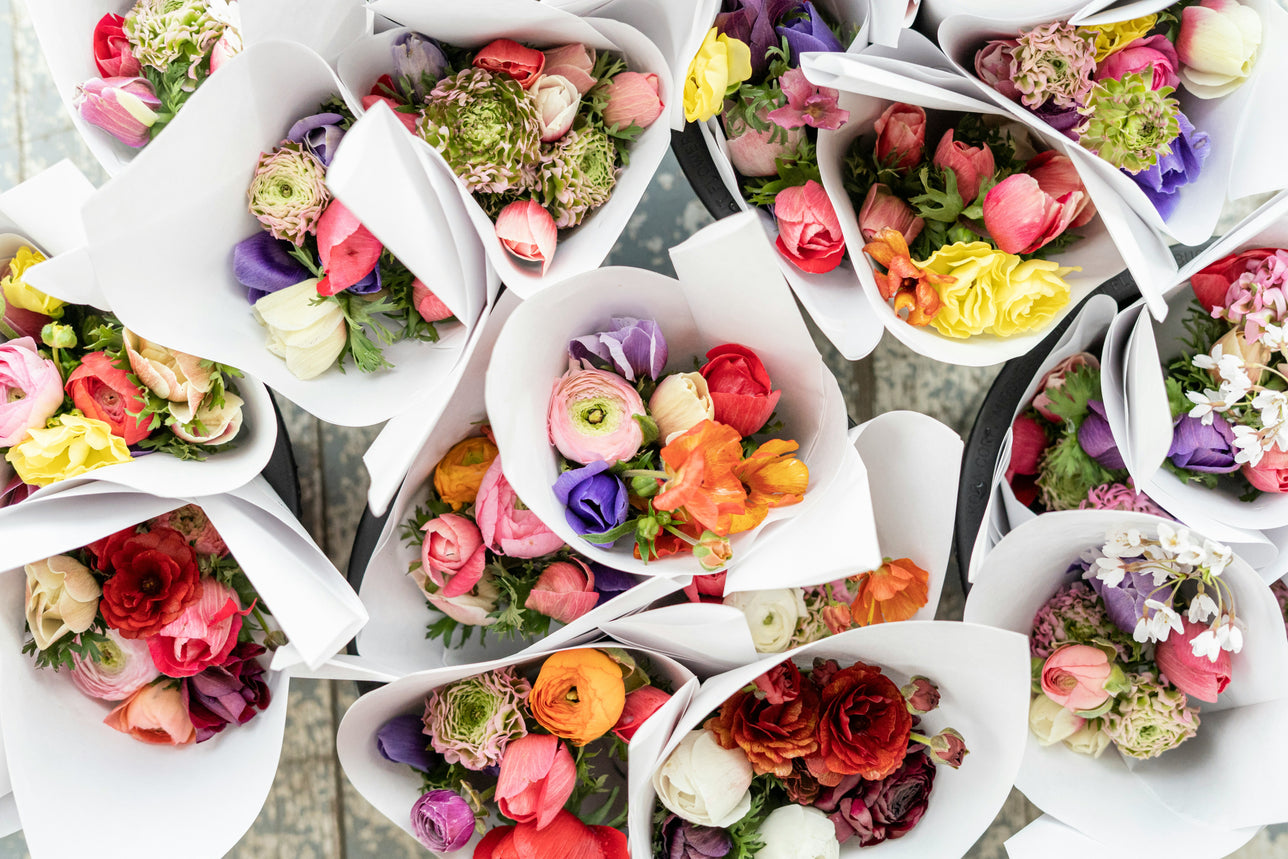Local Markets & Picturesque Towns