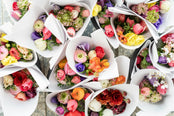 Local Markets & Picturesque Towns