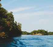 A scenic view of a body of water with trees on the banks under a clear sky.
