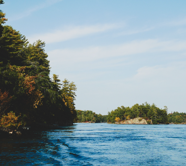 A scenic view of a body of water with trees on the banks under a clear sky.