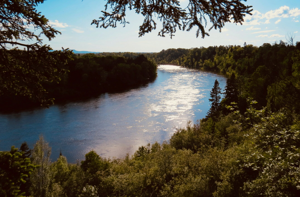 Birdseye view of a winding river alongside forests.
