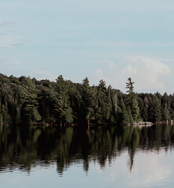 Water reflecting forest and blue sky.