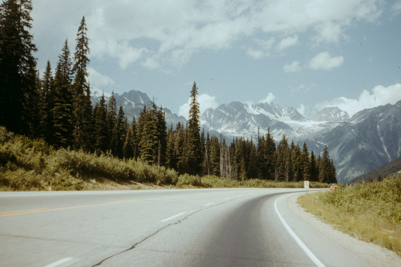A scenic view of a road leading towards mountains with green trees on both sides.