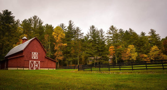 Red barn surrounded by trees.