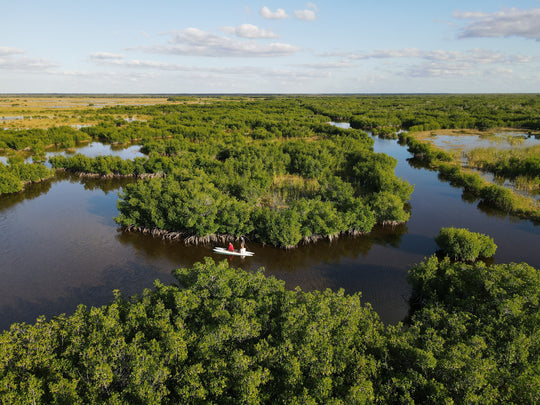 Everglades photo taken from above.