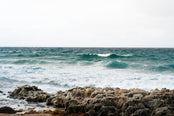 Treasure Coast Explorer