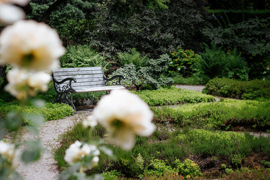 Park bench surrounded by greenery and flowers.