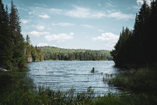 Lake surrounded by trees.
