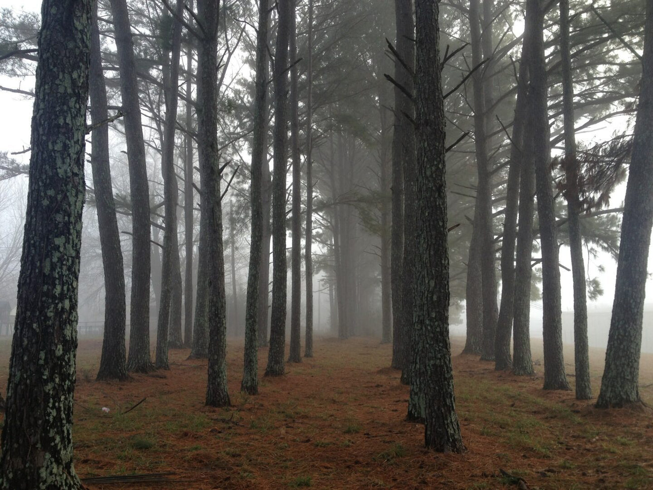 Spooky Sights & Ghostly Tales